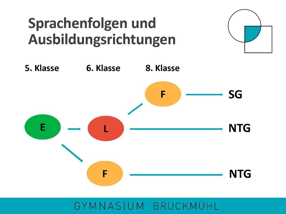 E = Englisch, L = Latein, F = Französisch, SG = Sprachliches Gymnasium, NTG = Naturwissenschaftlich-technologisches Gymnasium